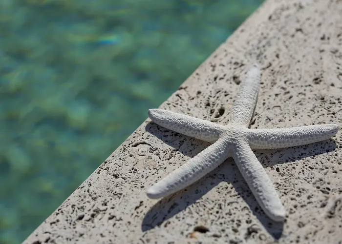 Nero D'avorio & Rimini