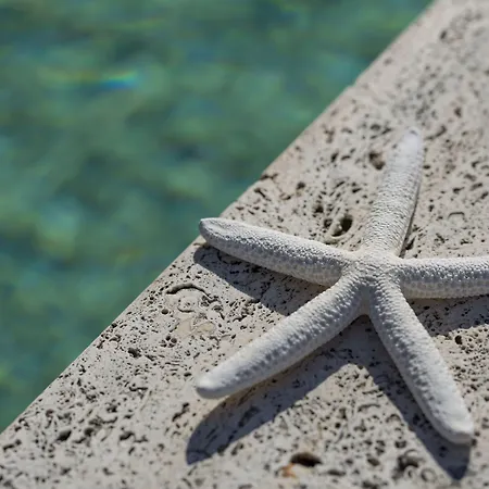 Nero D'avorio & Rimini