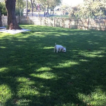 Nero D'avorio & 4* Rimini