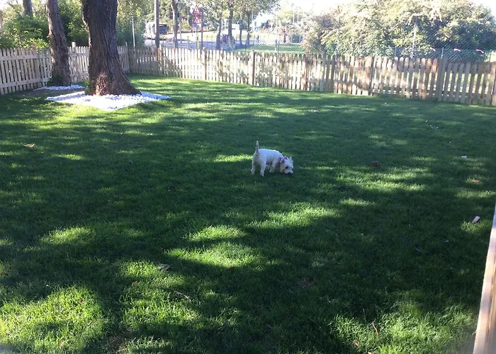 Nero D'avorio & 4* רימיני